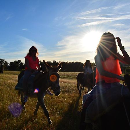 Turismo Rural 4Quintas Minhocal Zewnętrze zdjęcie