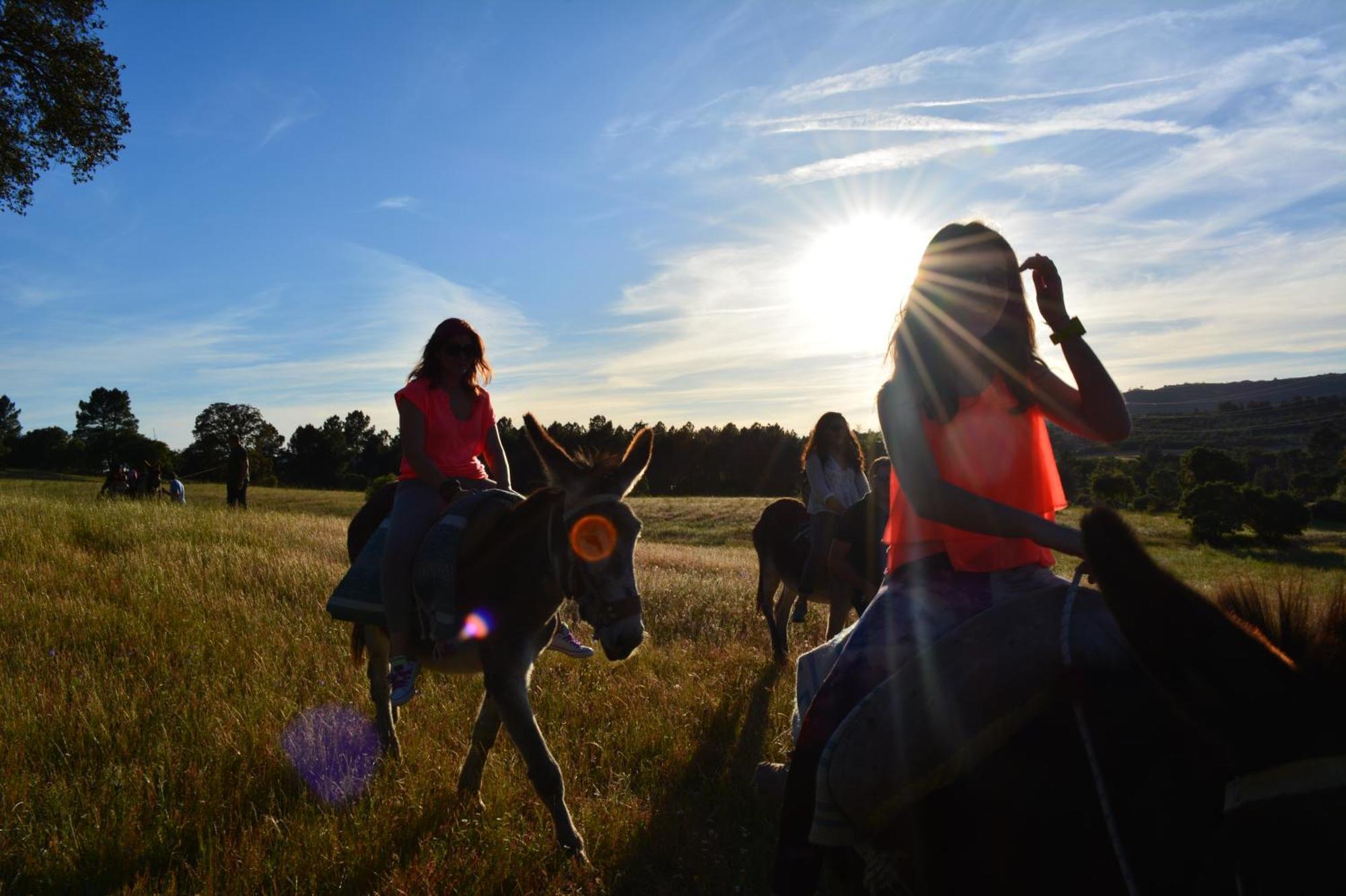 Turismo Rural 4Quintas Minhocal Zewnętrze zdjęcie