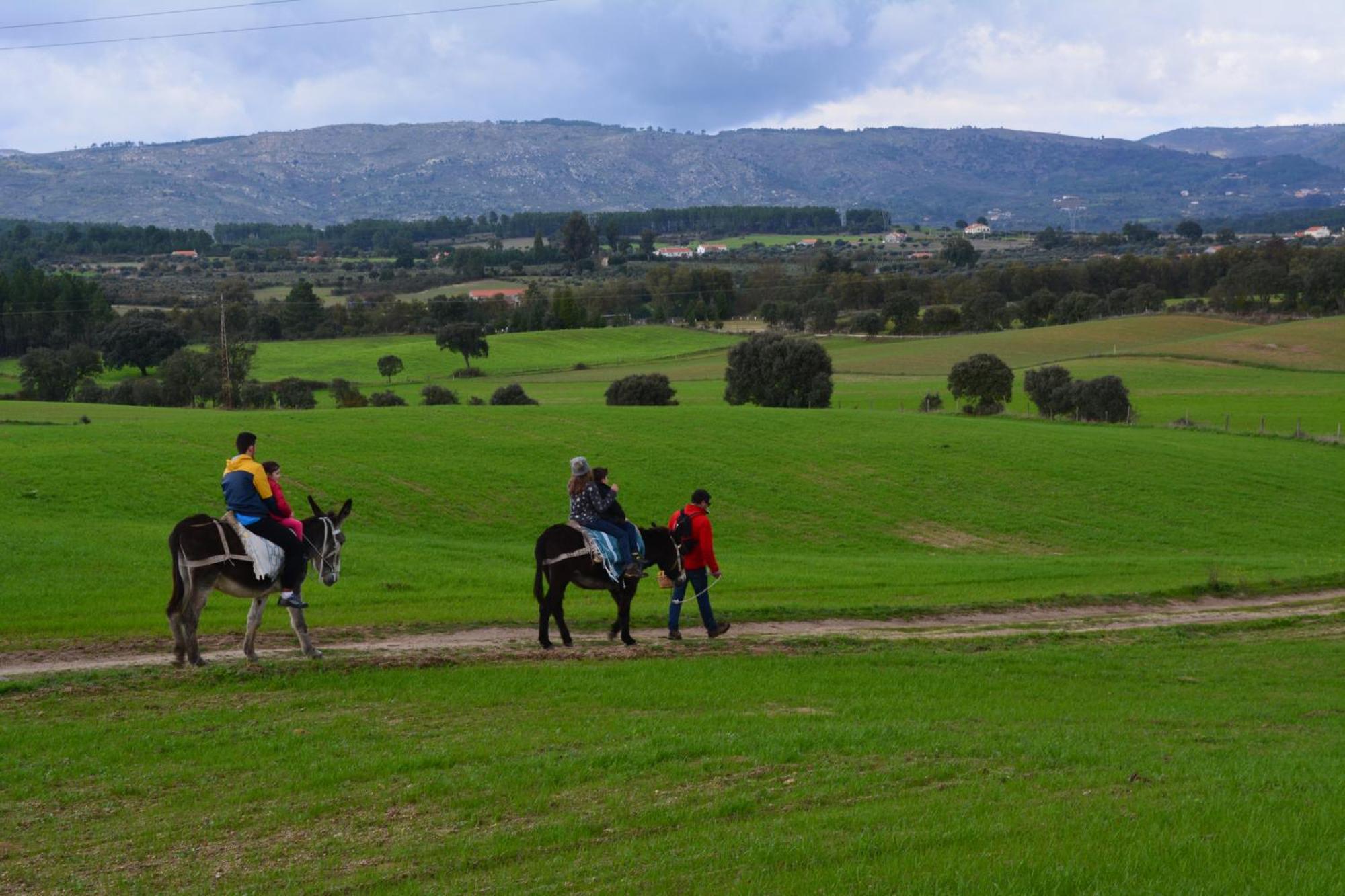 Turismo Rural 4Quintas Minhocal Zewnętrze zdjęcie