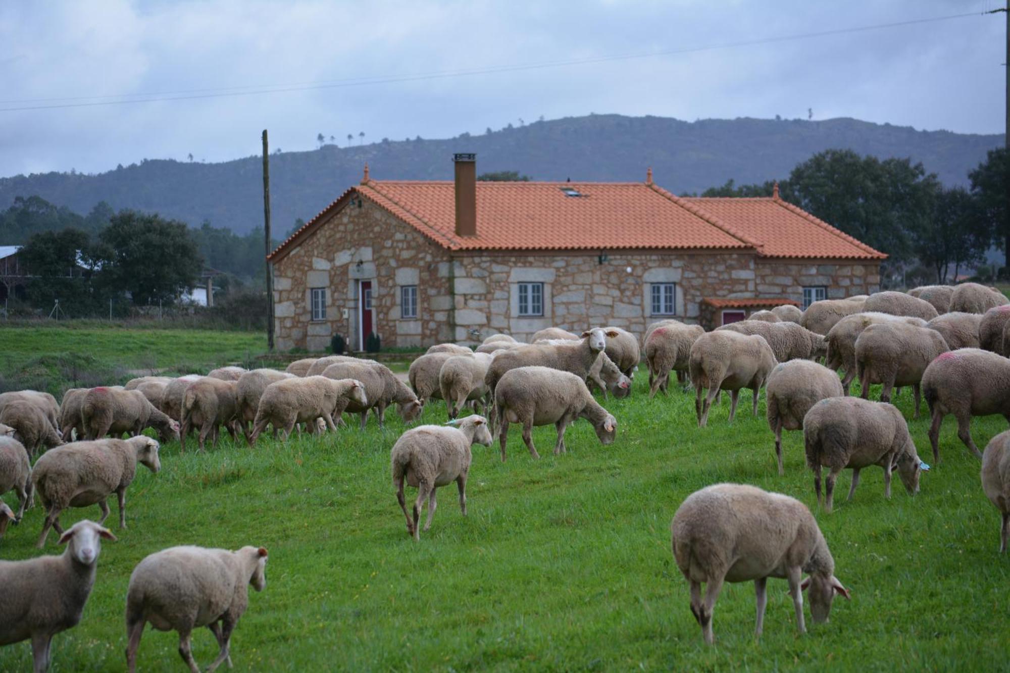 Turismo Rural 4Quintas Minhocal Zewnętrze zdjęcie