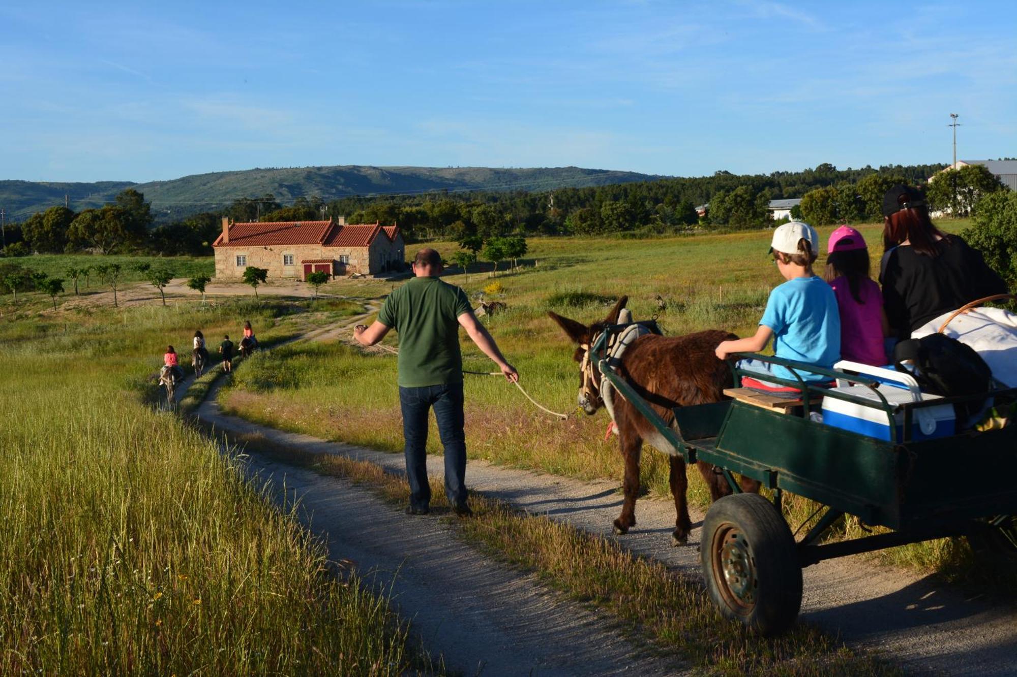 Turismo Rural 4Quintas Minhocal Zewnętrze zdjęcie